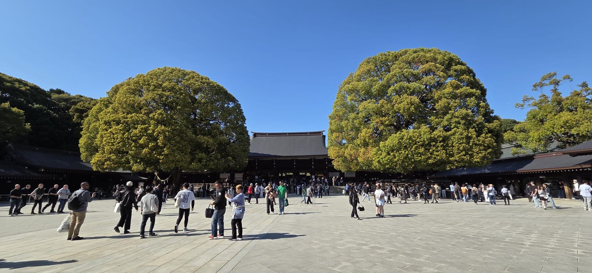 Japan 2026 — 14