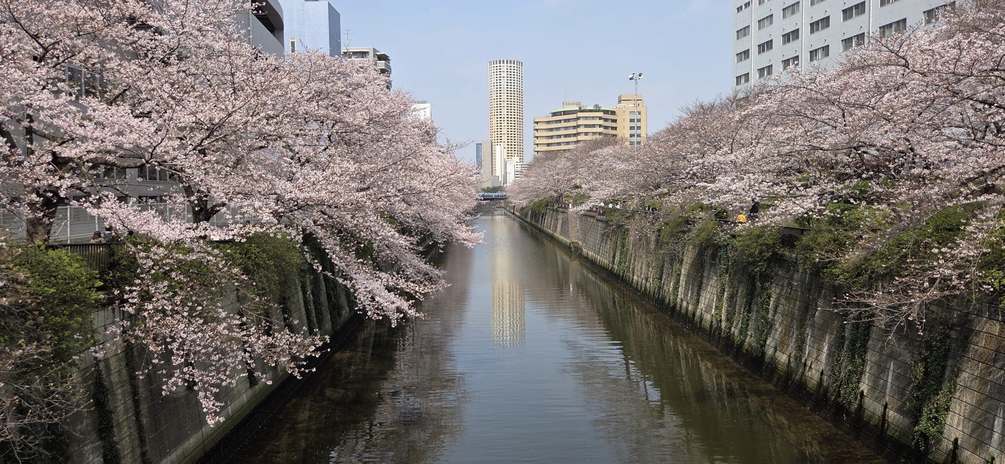 Japan 2026 — 16