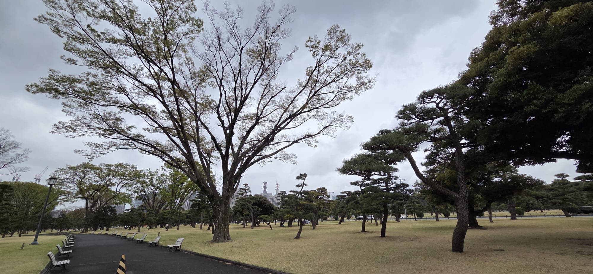 Japan 2026 — 38