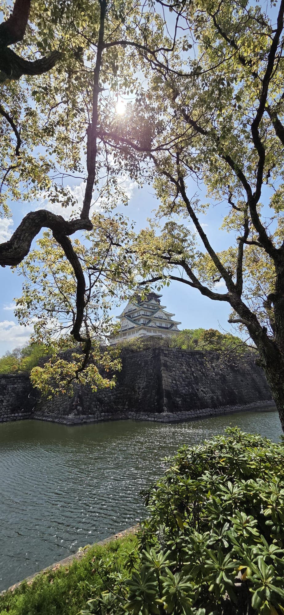 Japan 2026 — 1