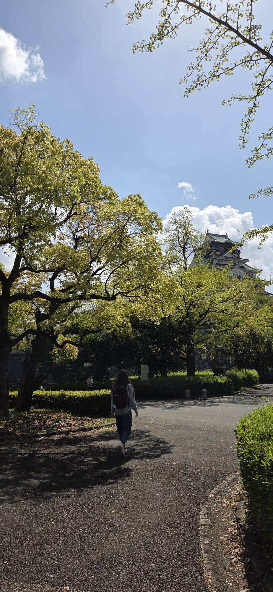 Japan 2026 — 32