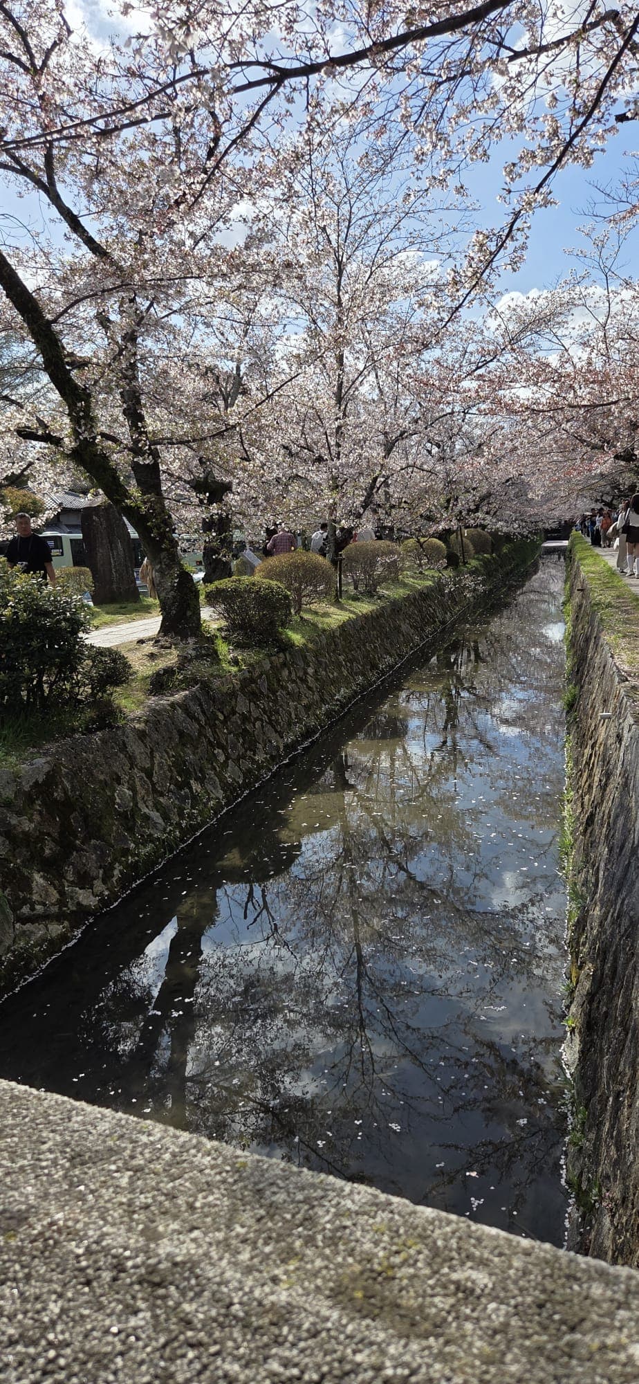 Japan 2026 — 20