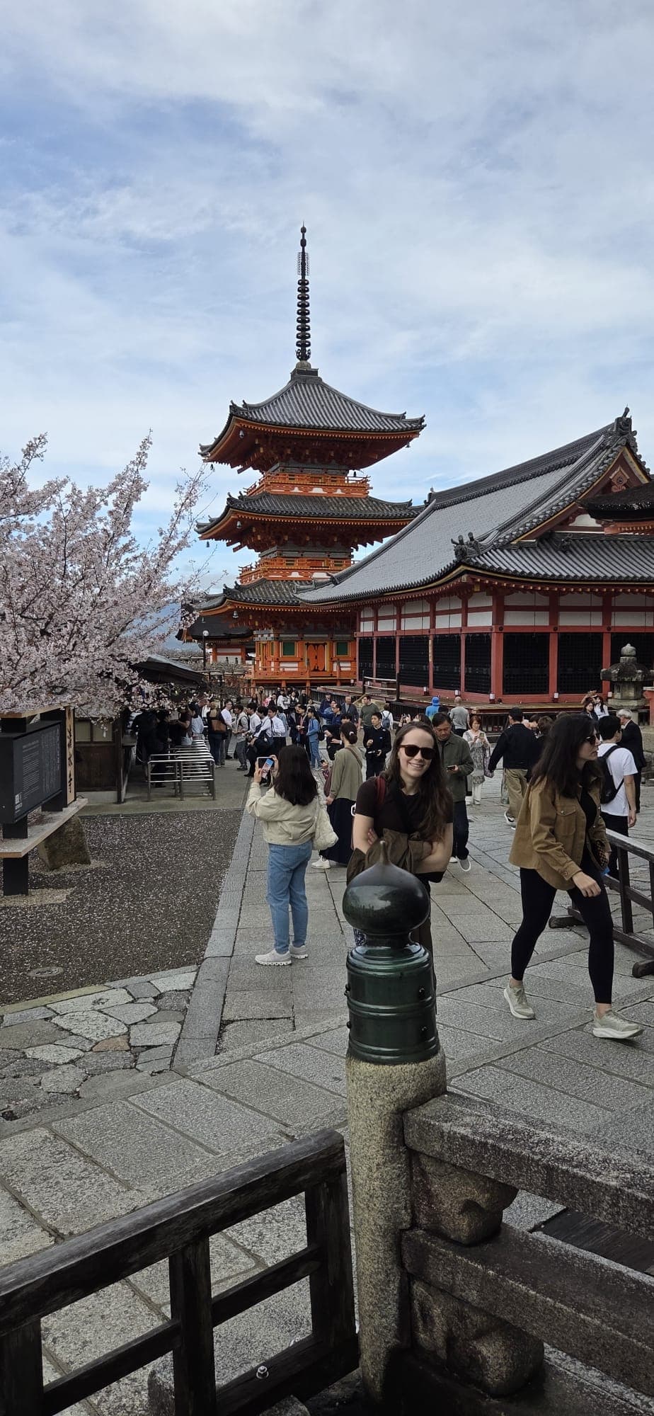 Japan 2026 — 9