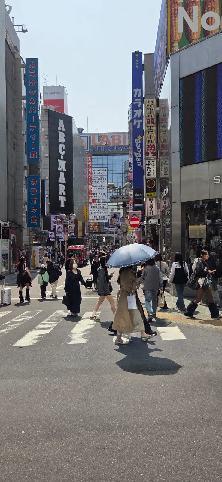 Japan 2026 — 25