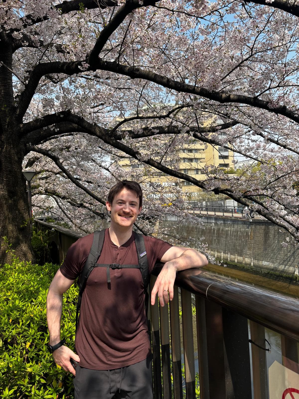 Japan 2026 — 8
