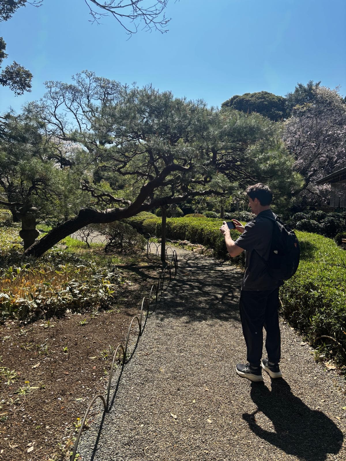 Japan 2026 — 3