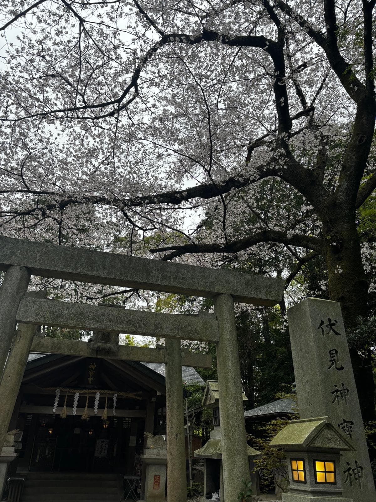 Japan 2026 — 30