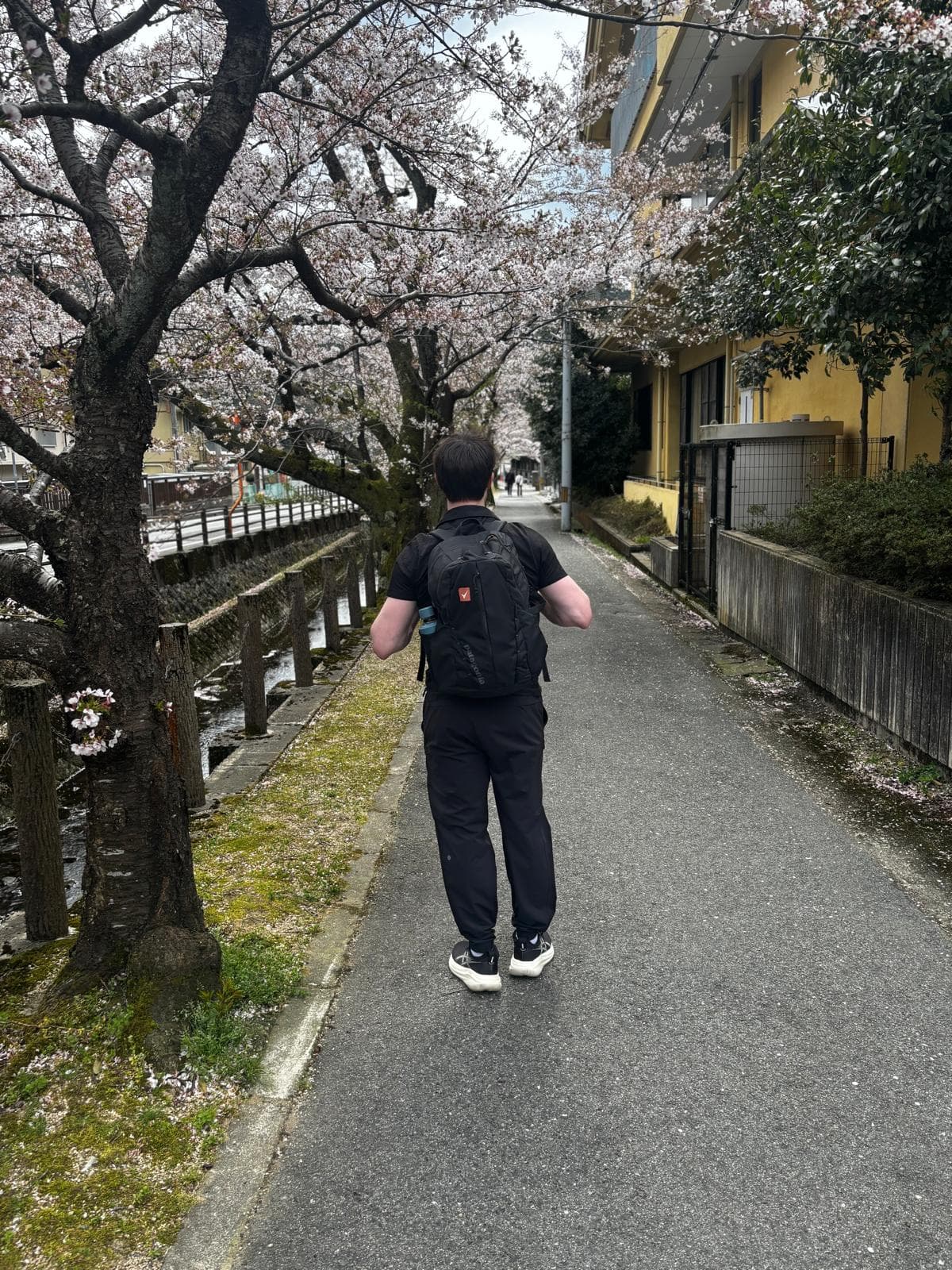 Japan 2026 — 18